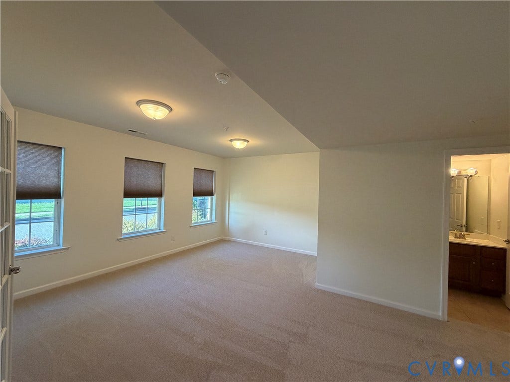 Entry level Flex space with full bathroom and closet.