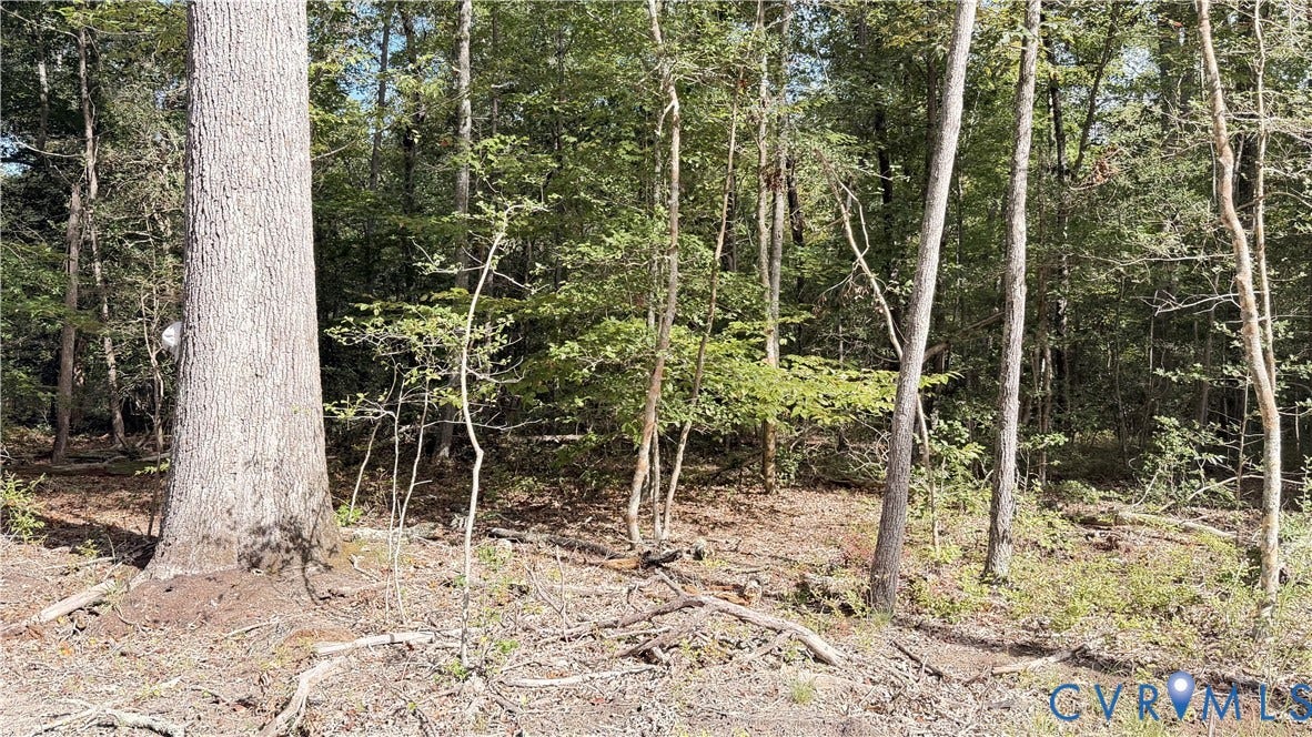 W.RoseGaerden rd W.Garden Rd, King William, VA 23086 Wooded lot featuring mature trees and natural ground cover