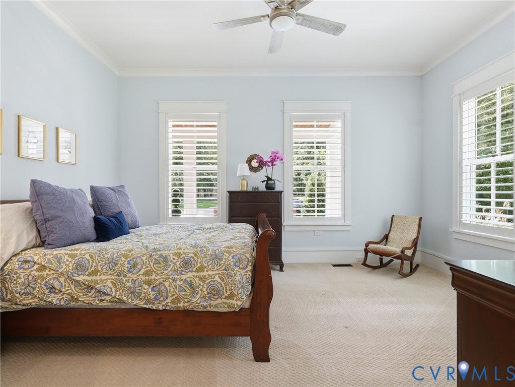 Light blue wall paint, crown molding, two windows with plantation shutters, ceiling fan, and carpeted flooring