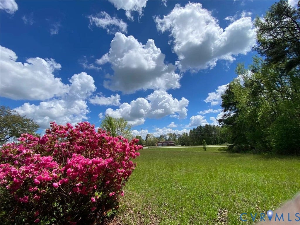 21600 Patrick Henry Highway, Amelia, VA 23083 Expansive grassy area with mature trees and vibrant pink flowering shrubs