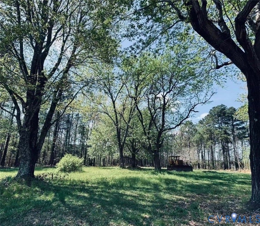 21600 Patrick Henry Highway, Amelia, VA 23083 Expansive cleared land with mature trees and natural surroundings