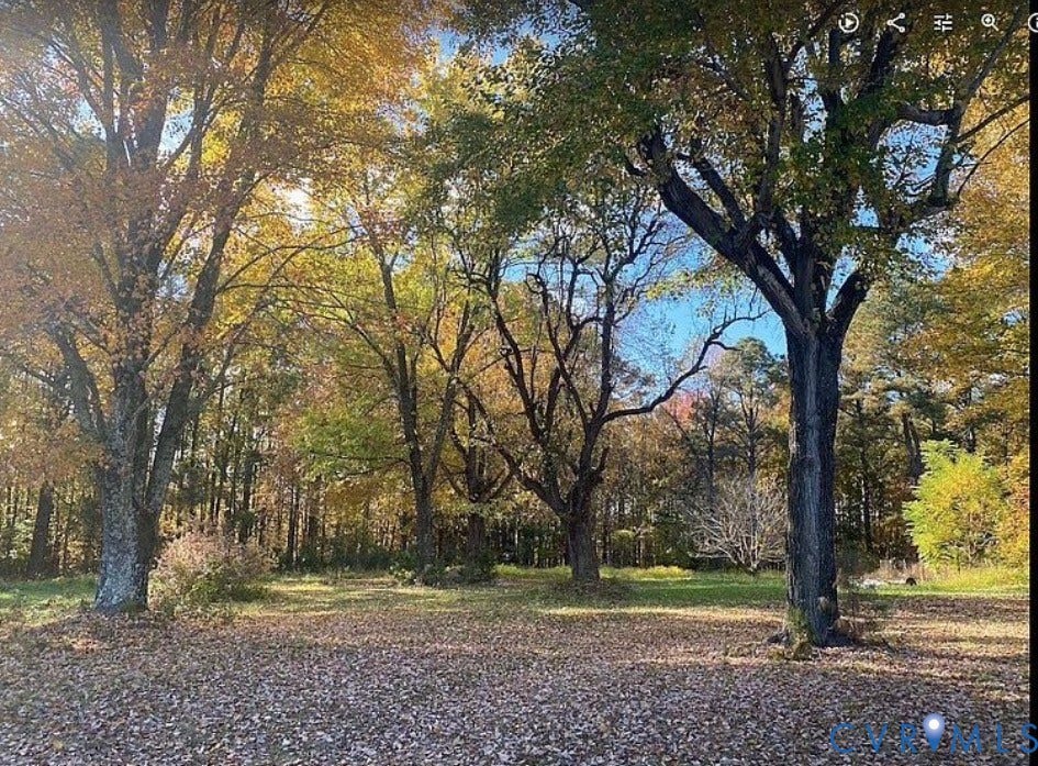 21600 Patrick Henry Highway, Amelia, VA 23083 Mature trees with seasonal foliage, expansive natural landscape, and clear sky overhead