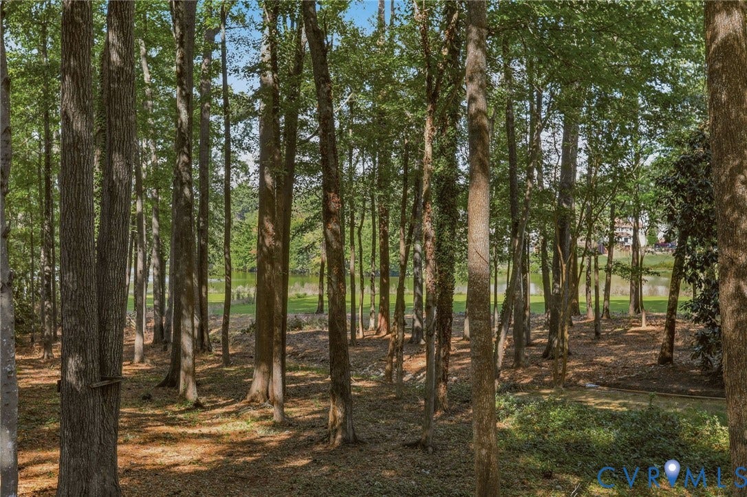 12718 Lakestone Drive, The Pointe, Midlothian, VA 23114 Direct views of Walton Lake