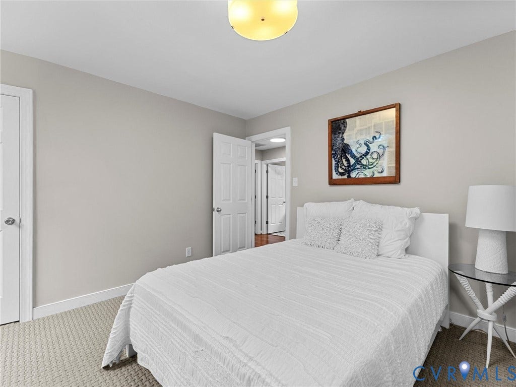 12100 English Ivy Lane, Glen Allen, VA 23059 Neutral interior paint, textured carpeting, panel doors, and a central flush-mount ceiling light fixture