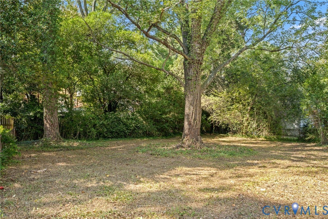 Spacious yard featuring mature trees and established perimeter foliage