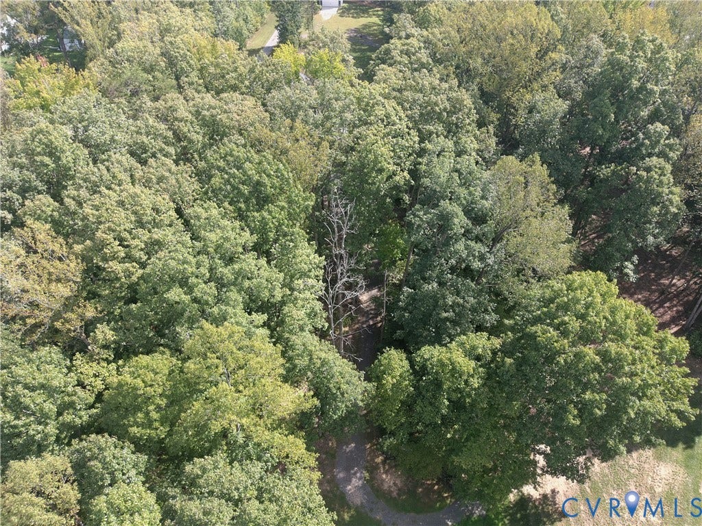 0 Wolftrap Court, Lighthouse, Bumpass, VA 23024 Wooded acreage featuring mature trees