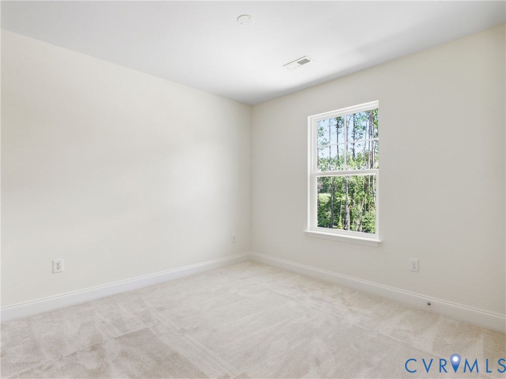 18783 Palisades Ridge, Palisades Cove, Moseley, VA 23120