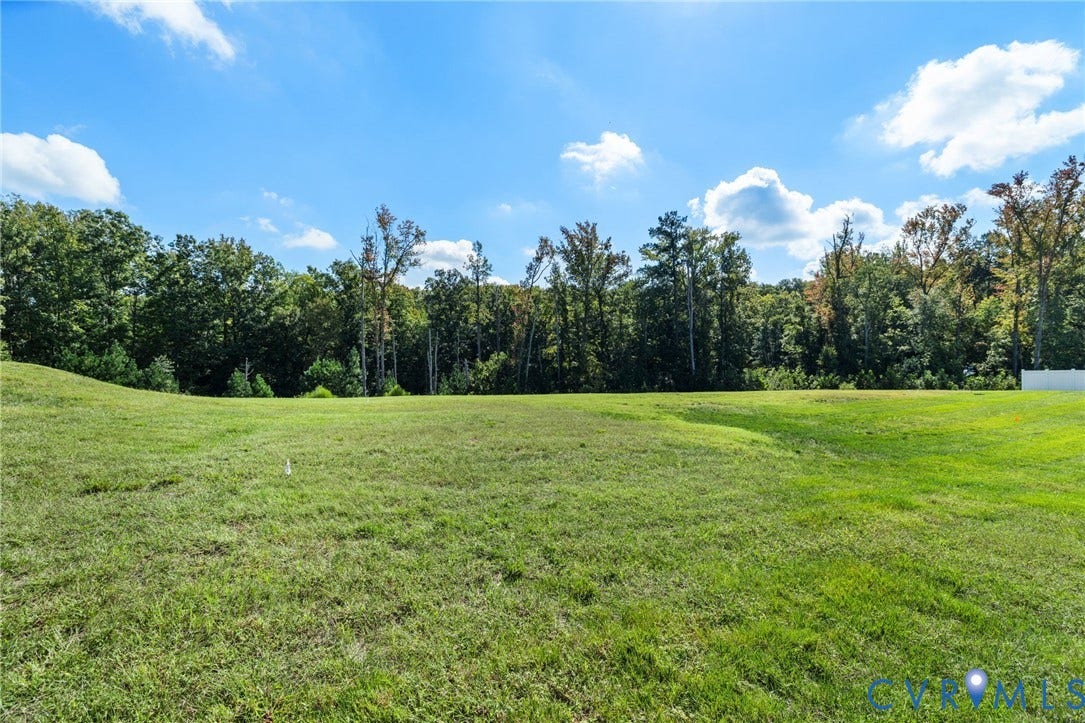 15750 Mosaic Creek Boulevard, Henrico, VA 23238 Expansive green space with a varied tree line backdrop