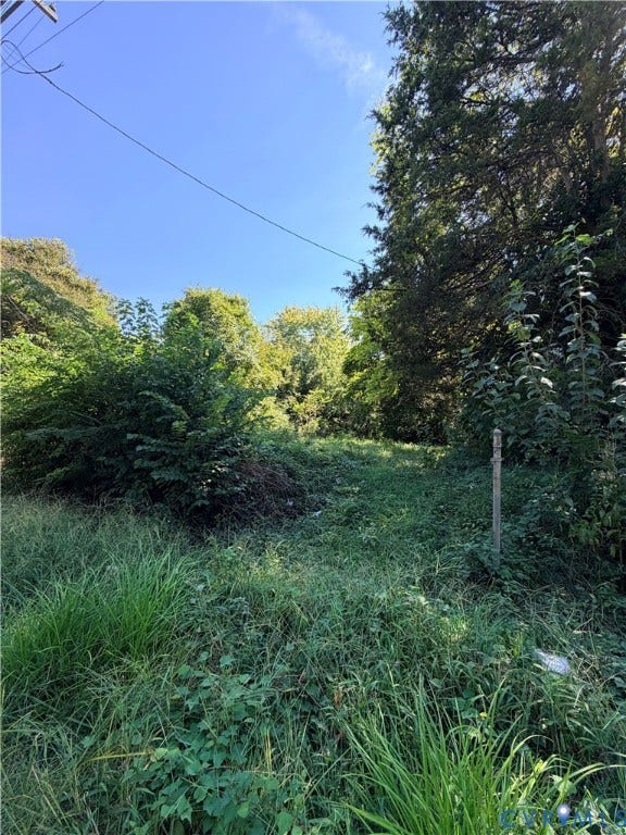 Expansive land parcel featuring dense foliage and mature trees