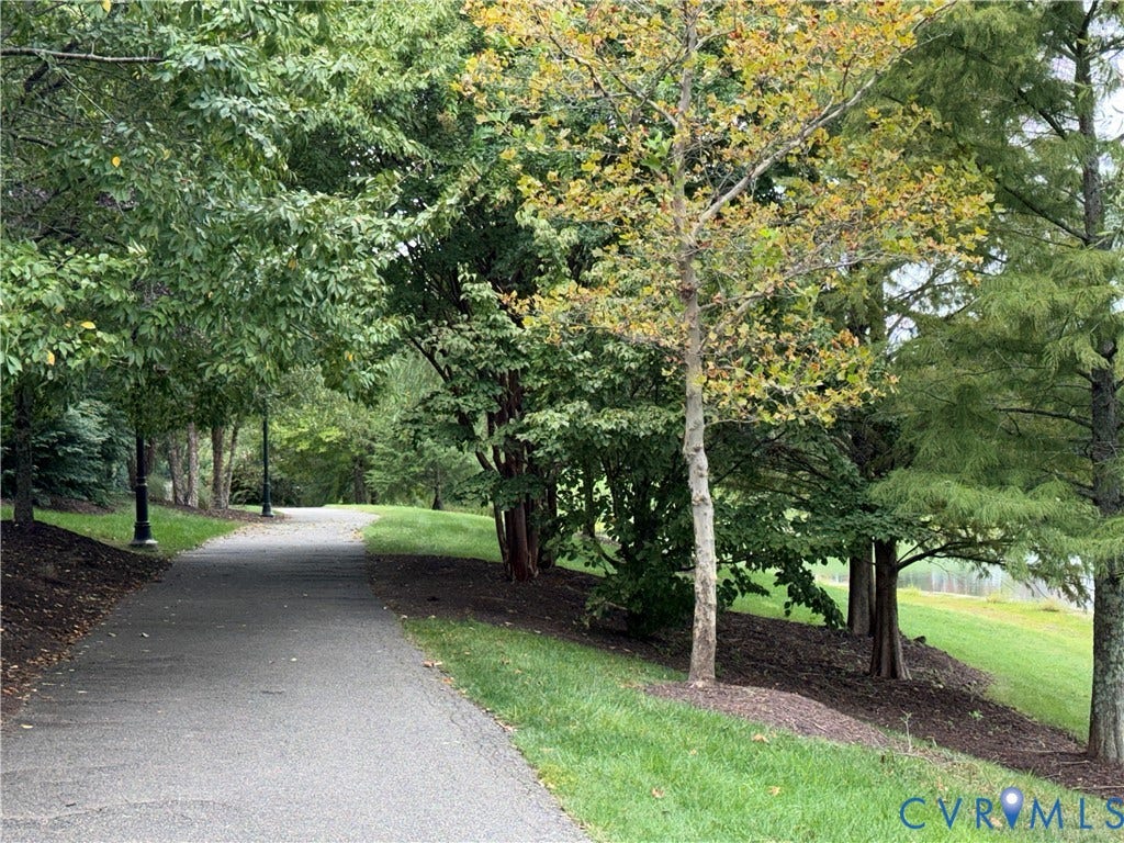 3931 Liesfeld Place, West Broad Village, Henrico, VA 23060 Paved pathway bordered by manicured lawns and mature trees