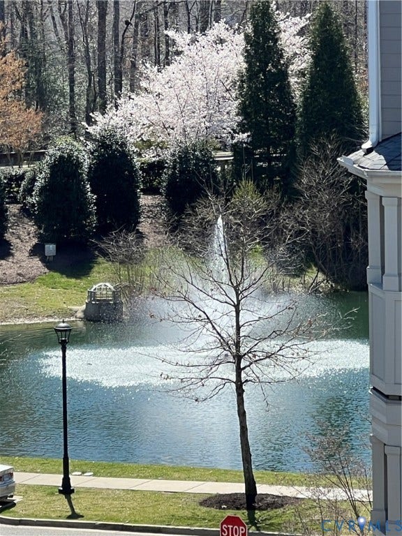 3931 Liesfeld Place, West Broad Village, Henrico, VA 23060 Water feature with fountain, surrounded by mature trees and verdant landscaping
