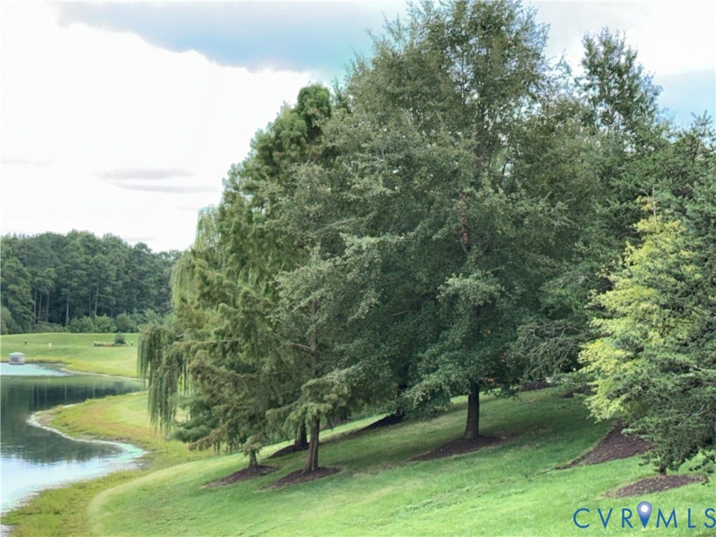 3931 Liesfeld Place, West Broad Village, Henrico, VA 23060 Sloping lawn leading to a tranquil body of water, bordered by mature trees and lush natural landscaping