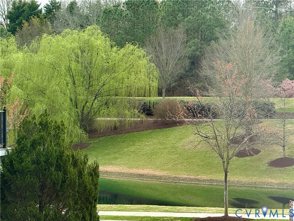 3931 Liesfeld Place, West Broad Village, Henrico, VA 23060 Manicured landscaping with a mature weeping willow, green lawn, a tranquil pond, and established trees