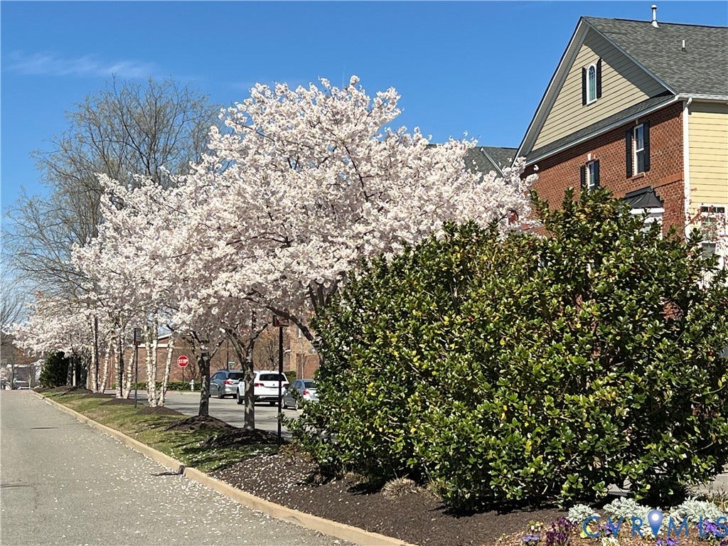 3931 Liesfeld Place, West Broad Village, Henrico, VA 23060 3931 Liesfeld Place, West Broad Village, Henrico, VA 23060