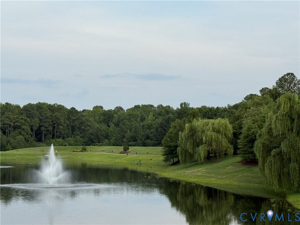 3931 Liesfeld Place, West Broad Village, Henrico, VA 23060 Water feature with fountain, surrounding mature trees, and landscaped grounds
