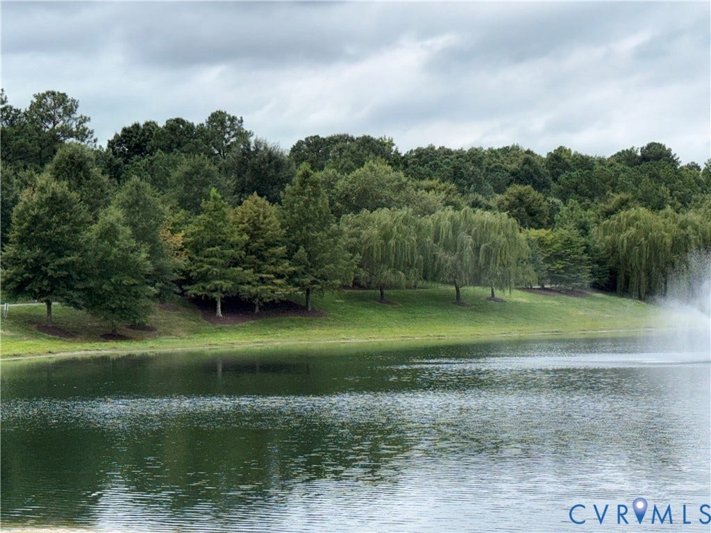 3931 Liesfeld Place, West Broad Village, Henrico, VA 23060 Additional content