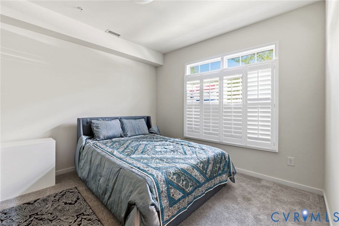 3931 Liesfeld Place, West Broad Village, Henrico, VA 23060 Carpeted flooring, white plantation shutters, transom windows, and recessed lighting