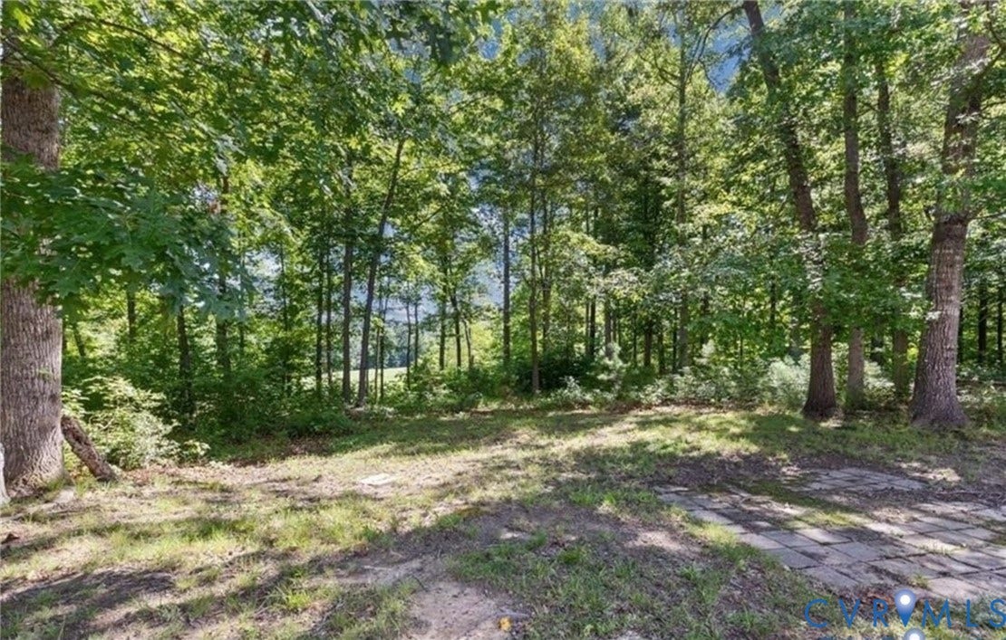 7319 Vicenzo Drive, Moseley, VA 23120 Wooded lot with mature trees and a partial clearing