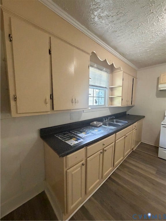 1227 Montgomery Avenue, Birdville Park, Petersburg, VA 23803 Upper and lower cabinetry with a dual basin sink, contrasting dark countertop, and wood-finish flooring