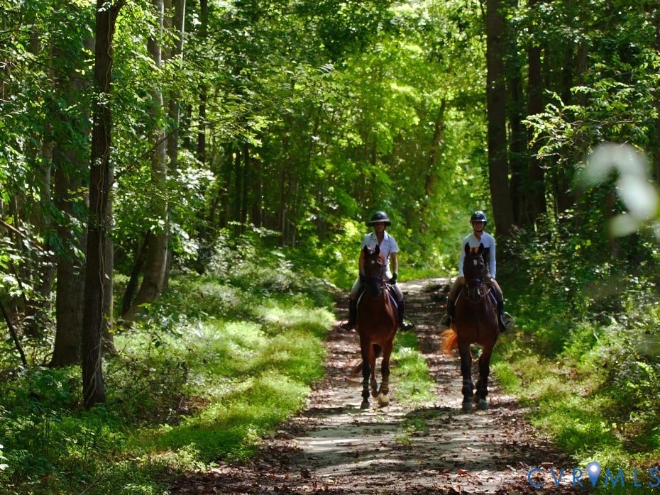 Miles of trails right off the property.
