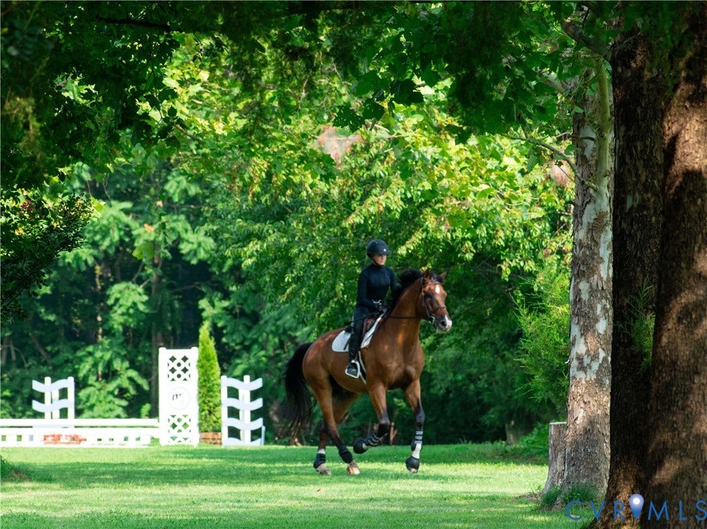 Irrigated grass derby field