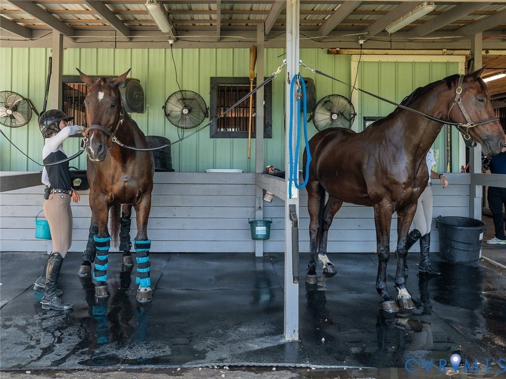 6-bay wash and grooming stalls with on-demand hot and cold water.