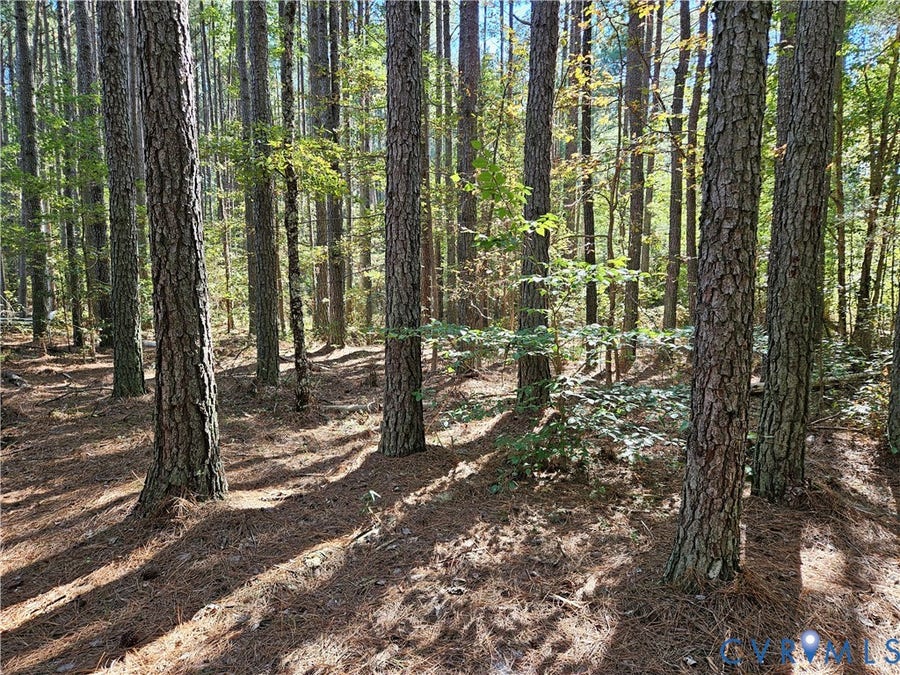 Property photo for 33.65 Acres Military Road, Amelia Courthouse, VA