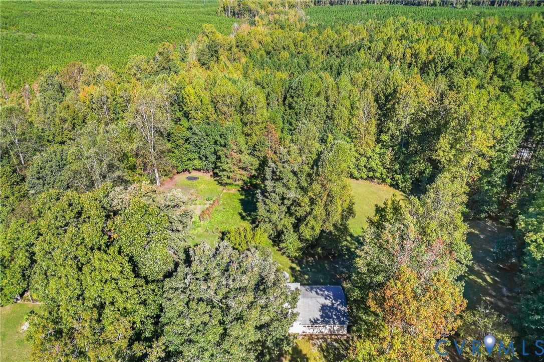 Expansive wooded acreage with a single-story structure featuring a dark roof
