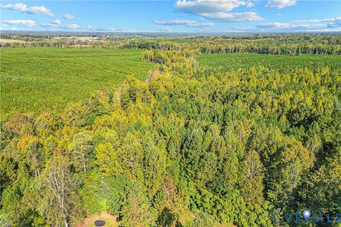 Expansive acreage featuring a mix of mature woodland and cultivated fields under a clear sky