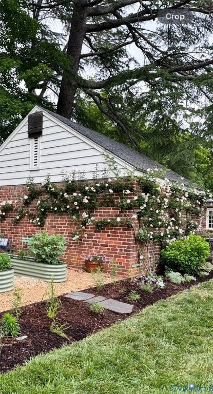 Past Photo of the Rear of the Garage showing the climbing rose vine and the corrugated raised garden beds