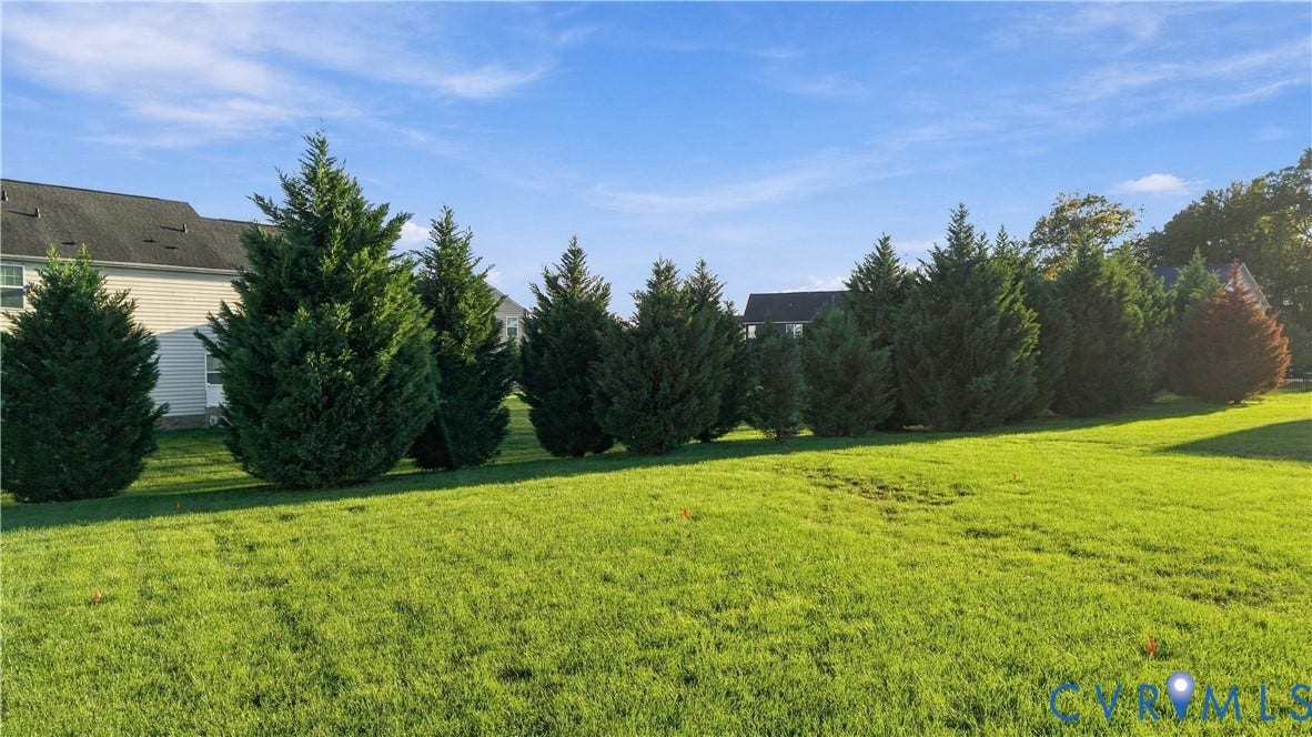 Expansive green lawn with a row of mature evergreen trees