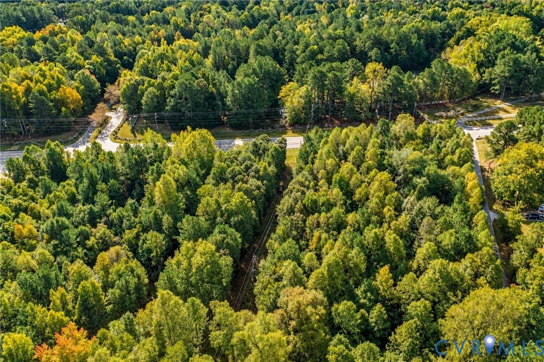 Abundant mature trees, two paved roads, and clear delineation of property lines