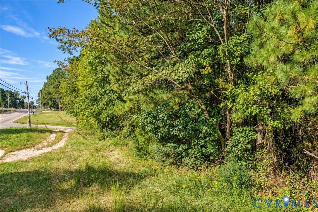 Expansive lot featuring mature trees and lush vegetation