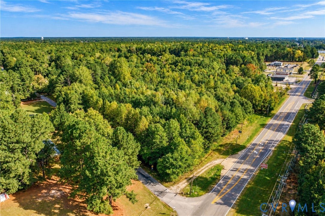 Expansive wooded parcel featuring mature trees, paved road access, and clear blue sky