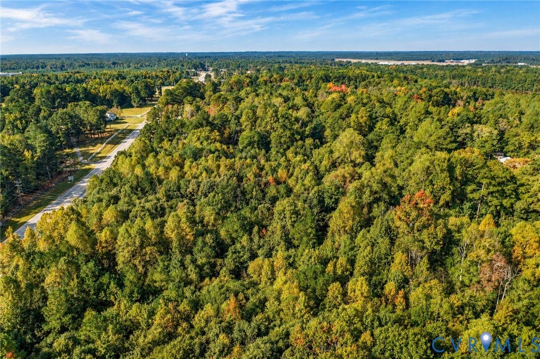 Expansive wooded acreage with mature trees