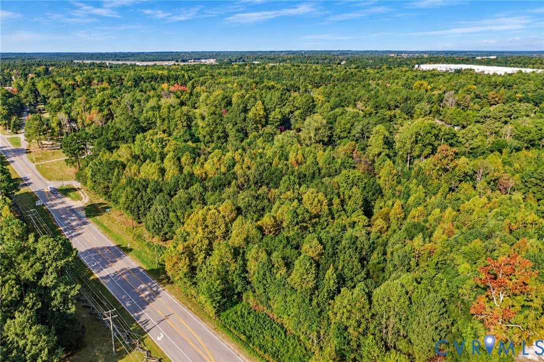 Expansive wooded acreage featuring mature trees and direct road frontage