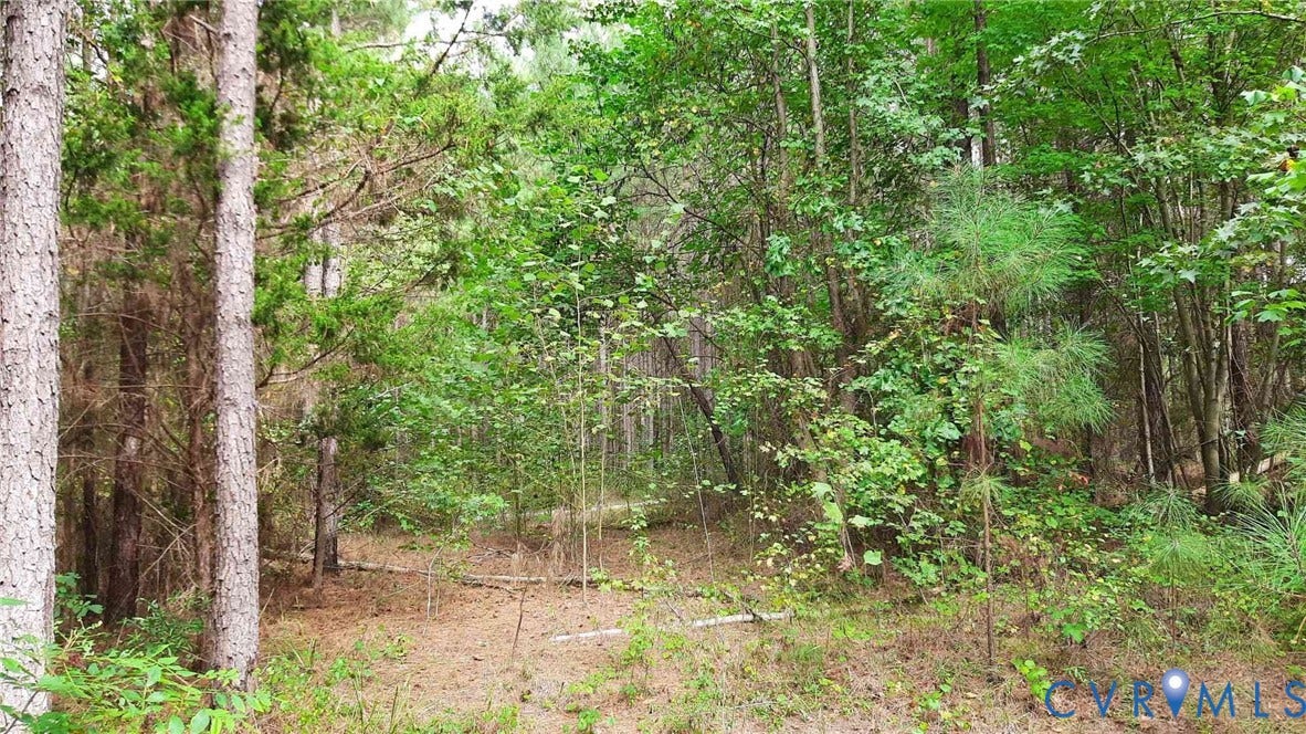 0 McKenney Hwy Road, Mc Kenney, VA 23872
