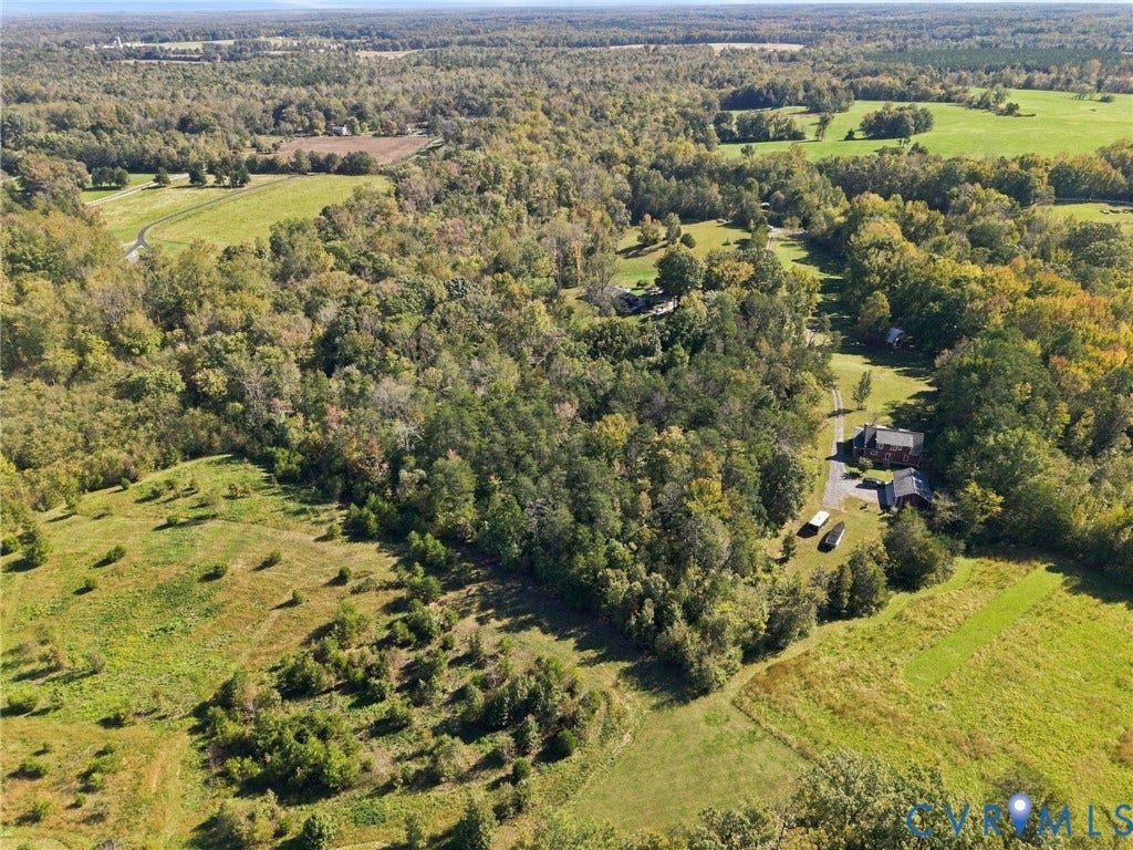 16233 Pleasant Mill Road, Montpelier, VA 23192 Expansive acreage featuring mature woodland, open pastoral fields, and a private gravel drive
