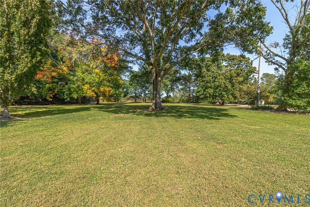 Expansive lawn area featuring mature trees adds to privacy