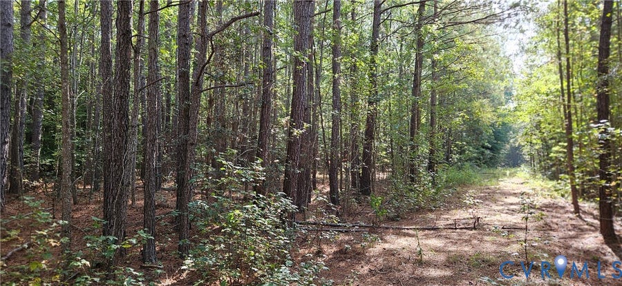 Property photo for 0 Mahixon Road, Manquin, VA