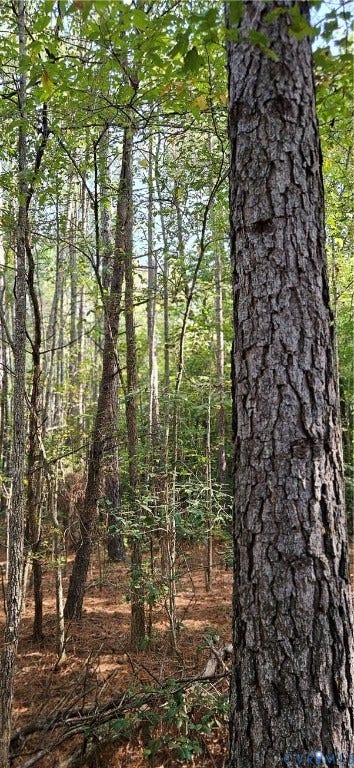 Mature wooded lot with ample tree coverage