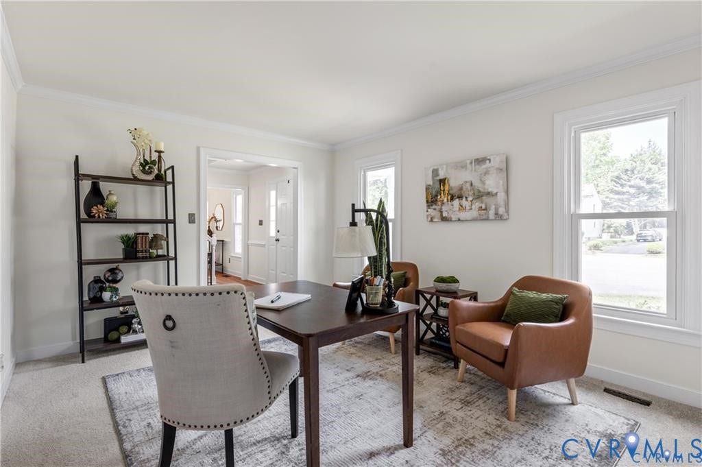 Crown molding, light-colored walls, carpeted flooring, and multiple windows