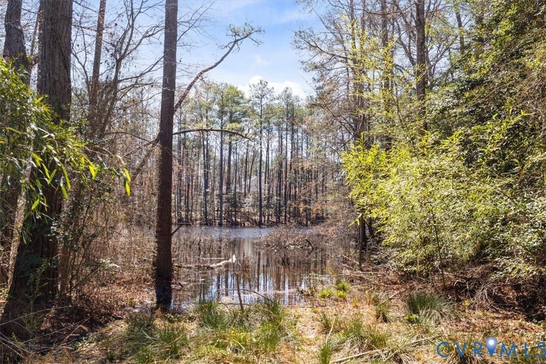 11716 Ivywood Road, Chester, VA 23831