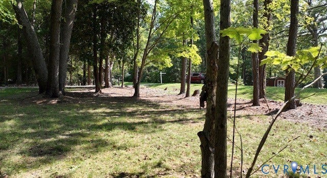 Wooded lot featuring mature trees and a grassy area