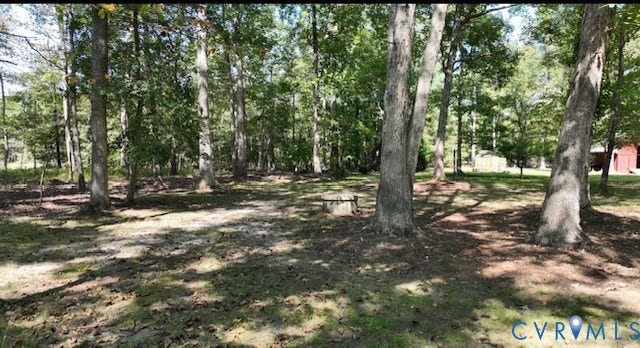 Wooded lot with mature trees and partial clearing