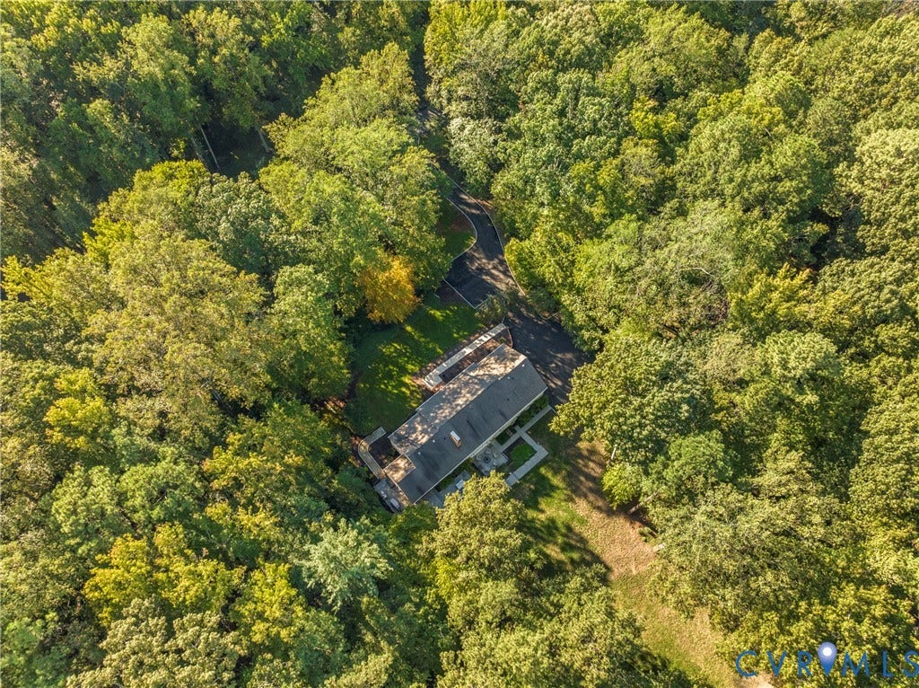 Wooded lot with mature trees