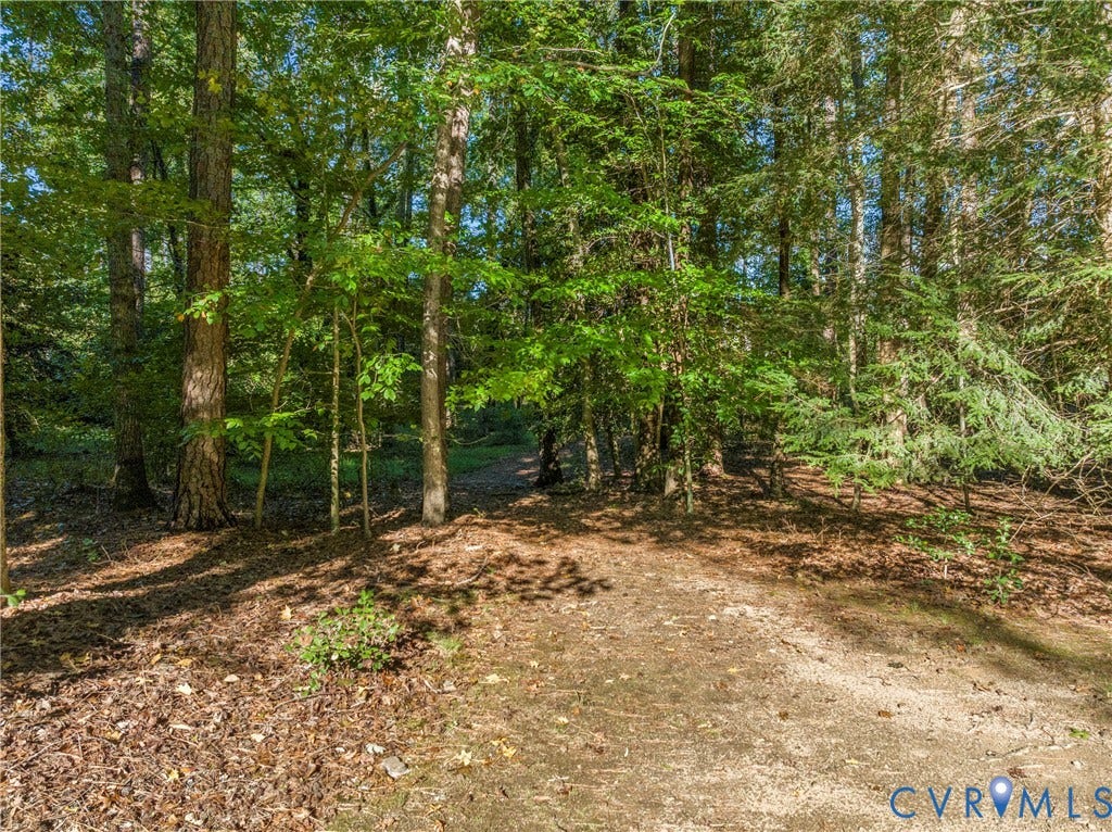 Trail at back of property