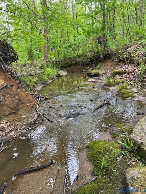 Natural stream featuring a wooded landscape with mature trees and a moss-covered bank