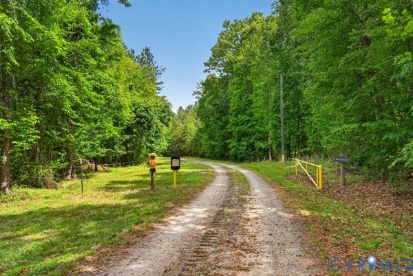 Gravel driveway framed by mature trees, featuring a yellow gate and surrounding natural landscaping