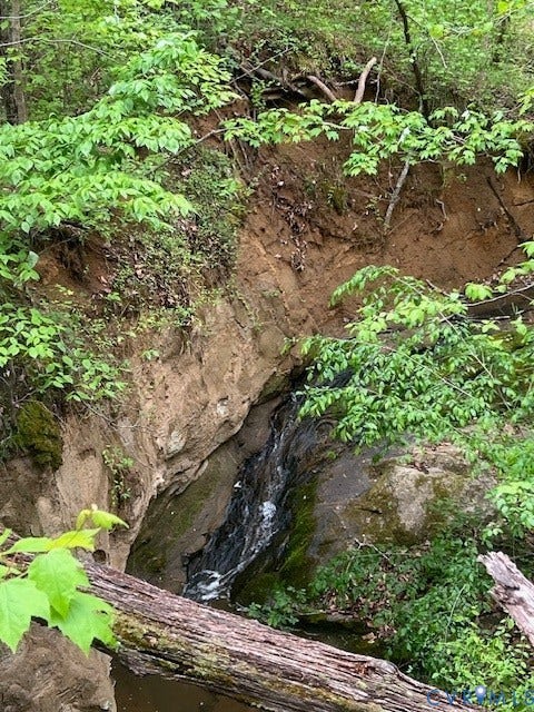 Natural creek feature with rock formations and surrounding lush foliage